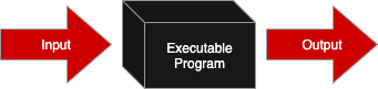 System testing. The executable program, a closed box, only considers the program’s input and output without regard to the internal workings (source code) of the program.