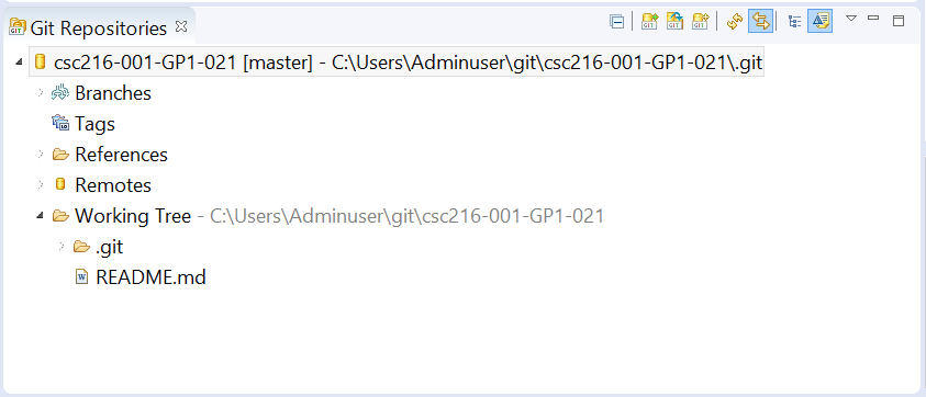 Figure: Git Repository View Showing One Repository