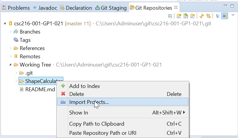 Figure: Importing an Existing Project from your Repository