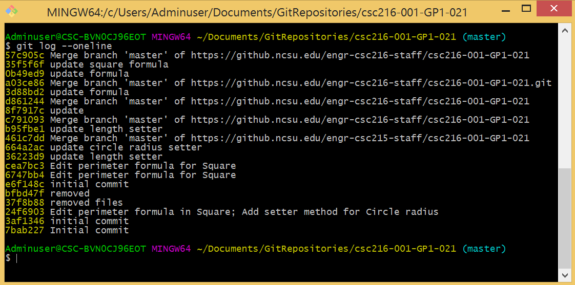 Figure: Executing the Log Command in Git Bash