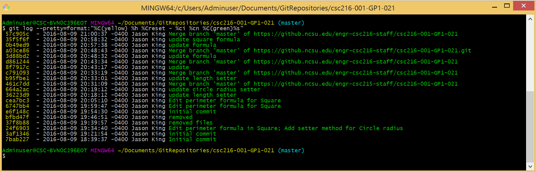 Figure: Executing the Log Command in Git Bash with Customizations