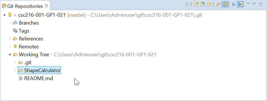 Figure: Your Project in Repository's Working Directory