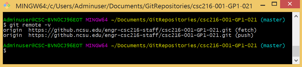 Figure: Remote Repositories in Git Bash