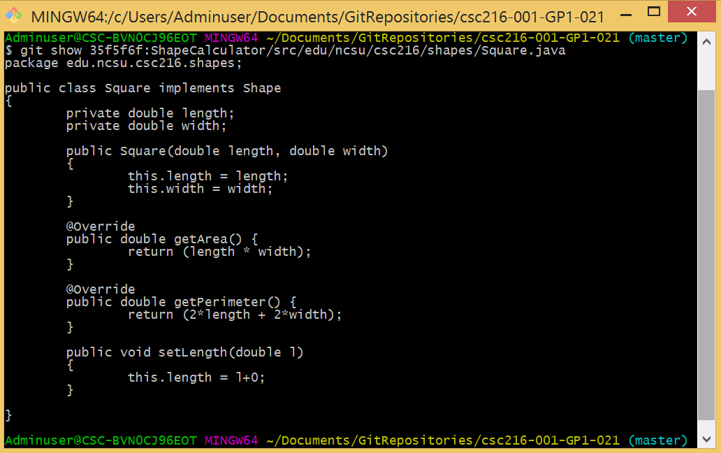 Figure: Show the file in Git Bash
