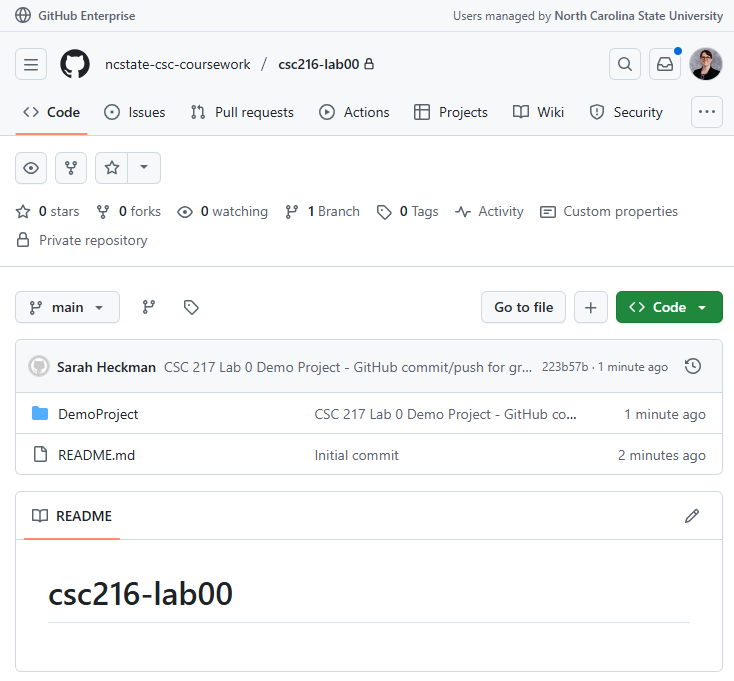 GitHub with `DemoProject` folder